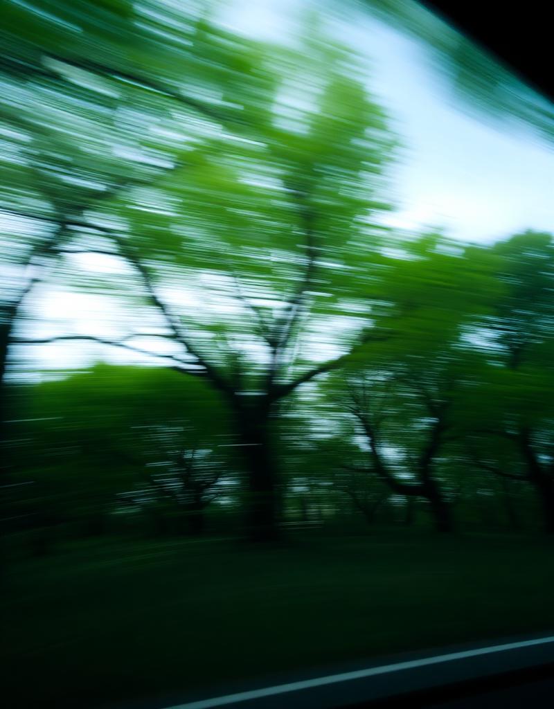 Reference: motion-blurred trees from a moving car
